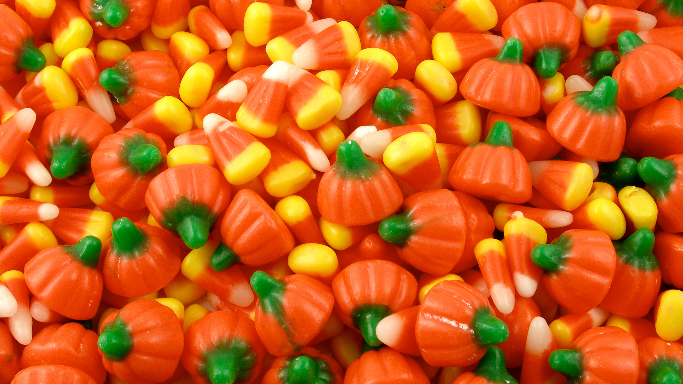 The Best Fall Treats, Ranked – Life is Sweet Candy Store